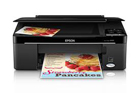 Epson Stylus nx125 Driver