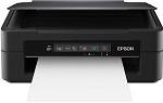 Epson Expression Home XP-225 Printer