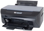 Epson Stylus Photo R265 Printer