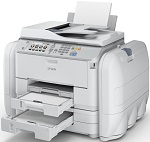 Epson Workforce Pro WF-R5690 DTWF Printer